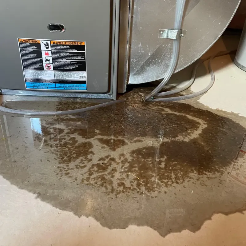 Appliance Leak Cleanup in Noble County, IN