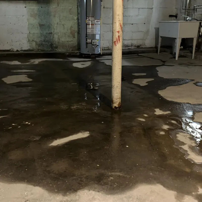 Emergency Water Extraction And Removal in Noble County, IN